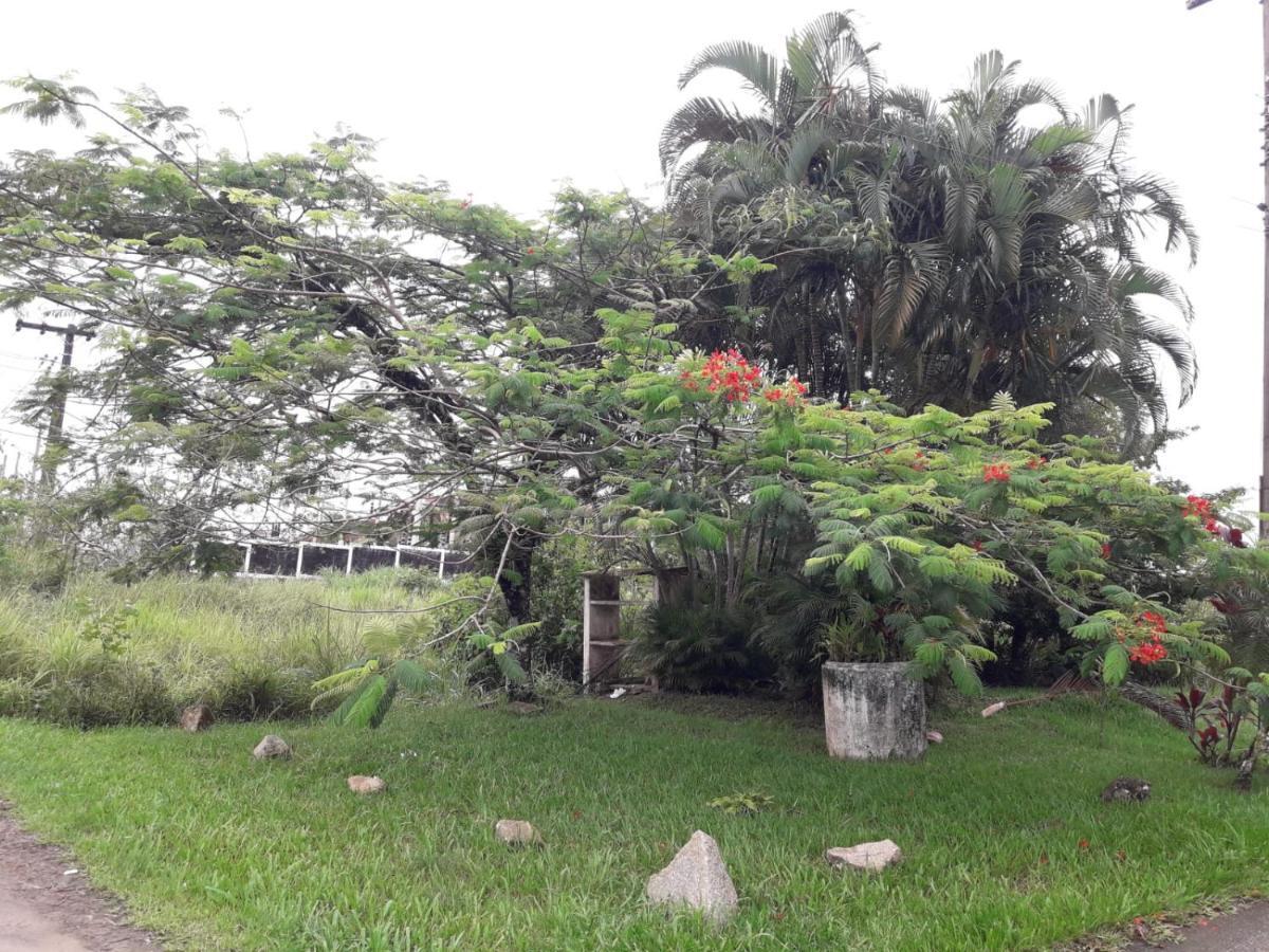 Domingos Chales Ubatuba Exteriör bild
